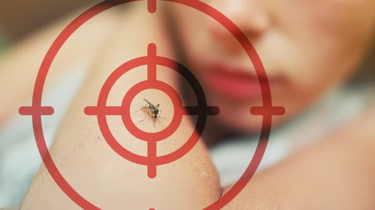 Braço com o mosquito da leishmaniose